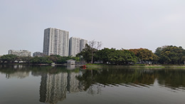 刘诗诗粉色渐变高定礼服惊艳亮相 优雅天鹅颈尽显女神气场