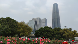 2025年即将到来，元旦火车票即将开售！